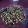 El cooksnap de Zoe Jara Gonzalez cuando hizo Galletitas de chocolate y café con frutos secos.