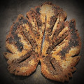 El cooksnap de Francesca Diomede cuando hizo Fougasse.
