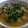Cooksnap dari Dapurr Emma untuk resep Ayam woku