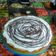 El cooksnap de Mikaela Rivero cuando hizo Lemon Pie.