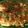 Barnali Debdas's cooksnap of when they made Egg Drop Curry.