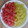 Priyanka Sudesh's cooksnap of when they made टुटी फ्रुटी (Tutti frutti recipe in marathi).