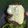 El cooksnap de Patricia Flocco cuando hizo Hamburguesa vegetariana de soja texturizada.