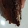 Cooksnap dari Lia Putri untuk resep Brownies Lumer