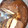 El cooksnap de Milva Miño cuando hizo Chocoflan/torta imposible.