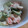EnaYae★mam's cooksnap of when they made ゴロっとおつまみカニカマ☆至高のソース☆.