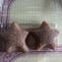 Cooksnap dari keizha untuk resep Bolu kukus cokelat putih telur