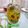 Cooksnap Mahadiah semasa beliau membuat Epal Lemon Asam Boi.