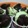 Cooksnap dari Yosie Yosephin untuk resep Steamed Pandan Cheese Cupcake - Cupcake Kukus Keju Pandan