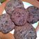 Cooksnap dari Conita untuk resep Soft Bake Chocochips Cookies Homemade 🍪