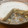 El cooksnap de Sofi Arrambide cuando hizo Tarta de ricota (sin manteca)😋.