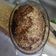 El cooksnap de anita catala cuando hizo Pan integral 100% con avena. El más rico, esponjoso y saludable.