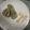 El cooksnap de Veronica Garest cuando hizo Rollo de espinacas y salmón.