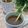 Cooksnap dari Maccby_kitchen untuk resep Minuman herbal empon empon