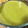 El cooksnap de Marieta cuando hizo Crema de calabacín fácil con Thermomix.