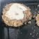 El cooksnap de Irina Bott Wilchen cuando hizo Hamburguesas de lentejas.