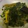 Cooksnap dari Della Sandra untuk resep Gulai Daun Singkong
