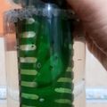 Cooksnap dari Mila Setyani untuk resep Infused water (lemon, madu & chia seed)