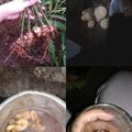 Cooksnap dari Mamalia Cooking untuk resep Bandrek minuman sehat untuk daya tahan tubuh