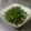 潘俊霖的(簡單料理) 的 鹹豬肉炒韭菜 cooksnap