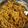 Kamla का कुकस्नैप जब उन्होंने शेजवान नूडल्स(Schezwan noodles recipe in hindi) बनाया था।