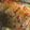 _qcm's cooksnap of when they made Mini sweet chili meat loaf.