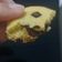 Cooksnap dari rina butarbutar untuk resep Chocochips Cookies Lumer