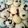 m1ss420's cooksnap of when they made Blueberry Lemon Cookies.
