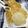 Swati Bharadwaj's cooksnap of when they made বিউলি ডালের কচুরি (biulir daler kachuri recipe in Bengali).
