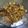 Cooksnap dari Lenny Semito untuk resep Kerang Kupas Ungkep Goreng