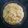 Yashal Ahmad's cooksnap of when they made Maggie with pea.