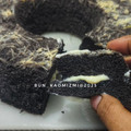 Cooksnap dari dwi.avif untuk resep Bolu Ketan Hitam Keju Lumer