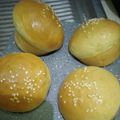 Cooksnap dari Rani Rani untuk resep Resep Roti Bun Burger metode Autolisis cocok diolah jadi Burger atau Korean Garlick cheese Bread