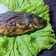 Cooksnap dari Nyonya Farhan untuk resep Ikan Mas Goreng simple gurih renyah