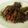 Cooksnap dari Vee Hikaru untuk resep Belut Goreng Cabe ijo