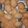 Letlhogonolo 's cooksnap of when they made Peanut Butter Cookies.