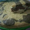 El cooksnap de Maria Gianoni cuando hizo Bizcochuelo marmolado 🎂🍰.