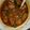 Sarita Srivastava's cooksnap of when they made Veg Manchurian with Gravy.