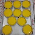 Cooksnap dari friscila boky untuk resep Light pumpkin pie
