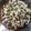 Cooksnap dari Vay Vay untuk resep Brownies Panggang Cokelat Keju