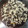 Cooksnap dari Vay Vay untuk resep Brownies Panggang Cokelat Keju