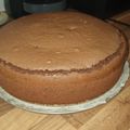 Cooksnap-ul lui Ramona Cionca atunci când a preparat Blat de tort cu cacao.
