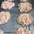 El cooksnap de gabriel conde cuando hizo Galletas de limón avena y harina integral.