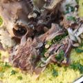 صورة من Joory Alda'ajan، شاركها بعد تجربة وصفة المنسف الأردني