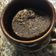 El cooksnap de Mitch cuando hizo Brownie en taza 2' preparado por Lucia 👧🏻.