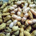 Cooksnap dari Anna Hadi_ant untuk resep Kacang Rebus