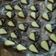 Cooksnap dari Yusmanidarema untuk resep Cookies donat