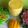 Madhumita Saha's cooksnap of when they made ম‍্যাঙ্গো লস‍্যি (mango Lassi recipe in Bengali).