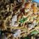 Cooksnap dari Asyera Febryanti untuk resep Bakmie goreng mewah 🍝