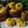 Cooksnap dari Mak Win untuk resep Pumpkin Pao